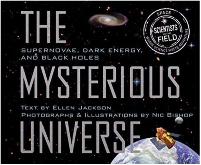 Mysterious Universe: Supernovae, Dark 