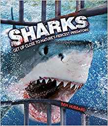 Sharks: Get Up Close to Nature's Fierc