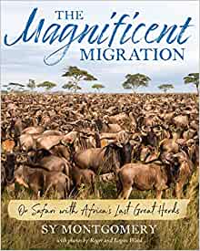 The Magnificent Migration: On Safari w
