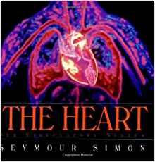 The Heart: Our Circulatory System