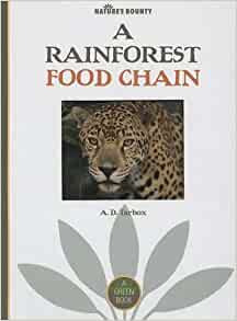 A Rainforest Food Chain (Nature's Boun