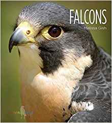 Falcons (Living Wild)