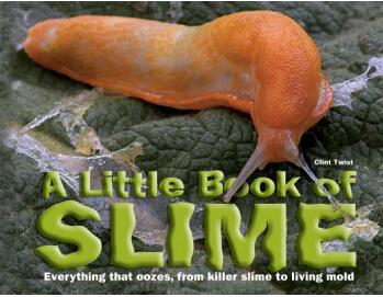A Little Book of Slime: Everything Tha