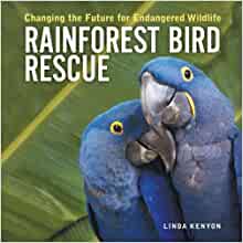 Rainforest Bird Rescue: Changing the F