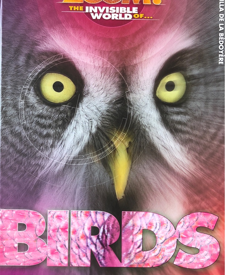 Zoom! The Invisible World of Birds