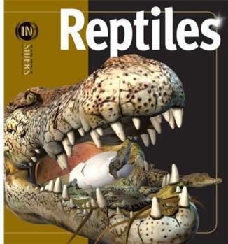 Reptiles  [8岁及以上]