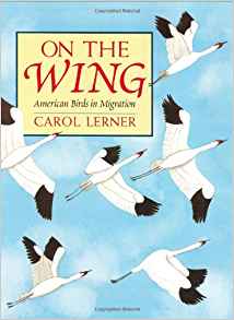 On the Wing: American Birds in Migrati