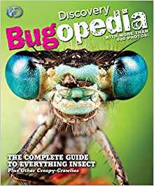 Discovery Bugopedia: The Complete Guid