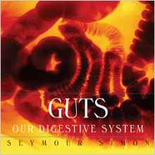 Guts: Our Digestive System