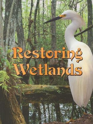 Restoring Wetlands