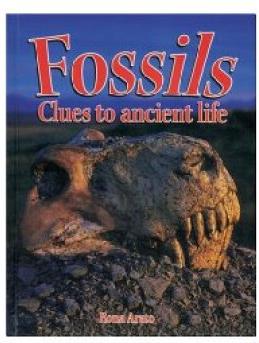 Fossils: Clues to Ancient Life