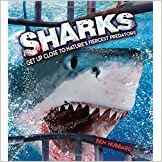 Sharks - Get Up Close to Nature's Fier