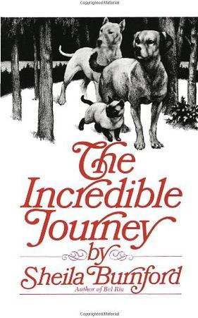Incredible Journey