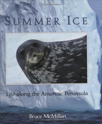 Summer Ice