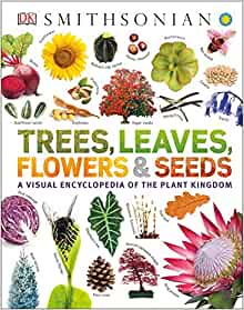 Trees, Leaves, Flowers and Seeds: A Vi
