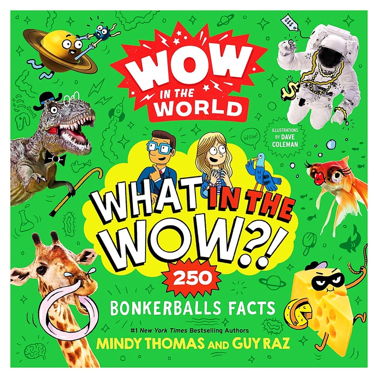 Wow in the World: What in the Wow?!: 2