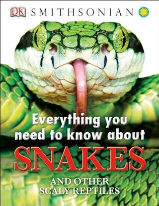 Everything You Need to Know about Snak