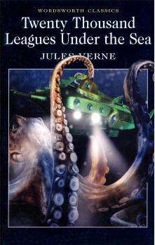 Twenty Thousand Leagues Under the Sea 