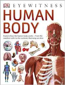 Human Body (Eyewitness)