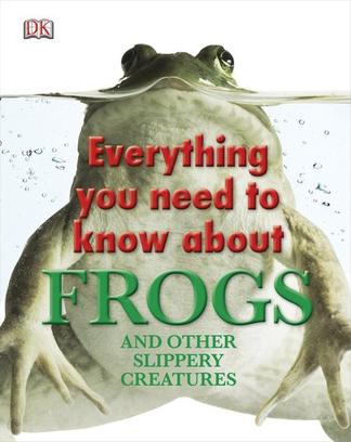 Everything You Need to Know About Frog