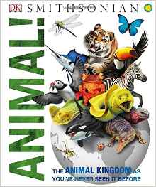 Animal! (DK Eyewitness Top 10 Travel G