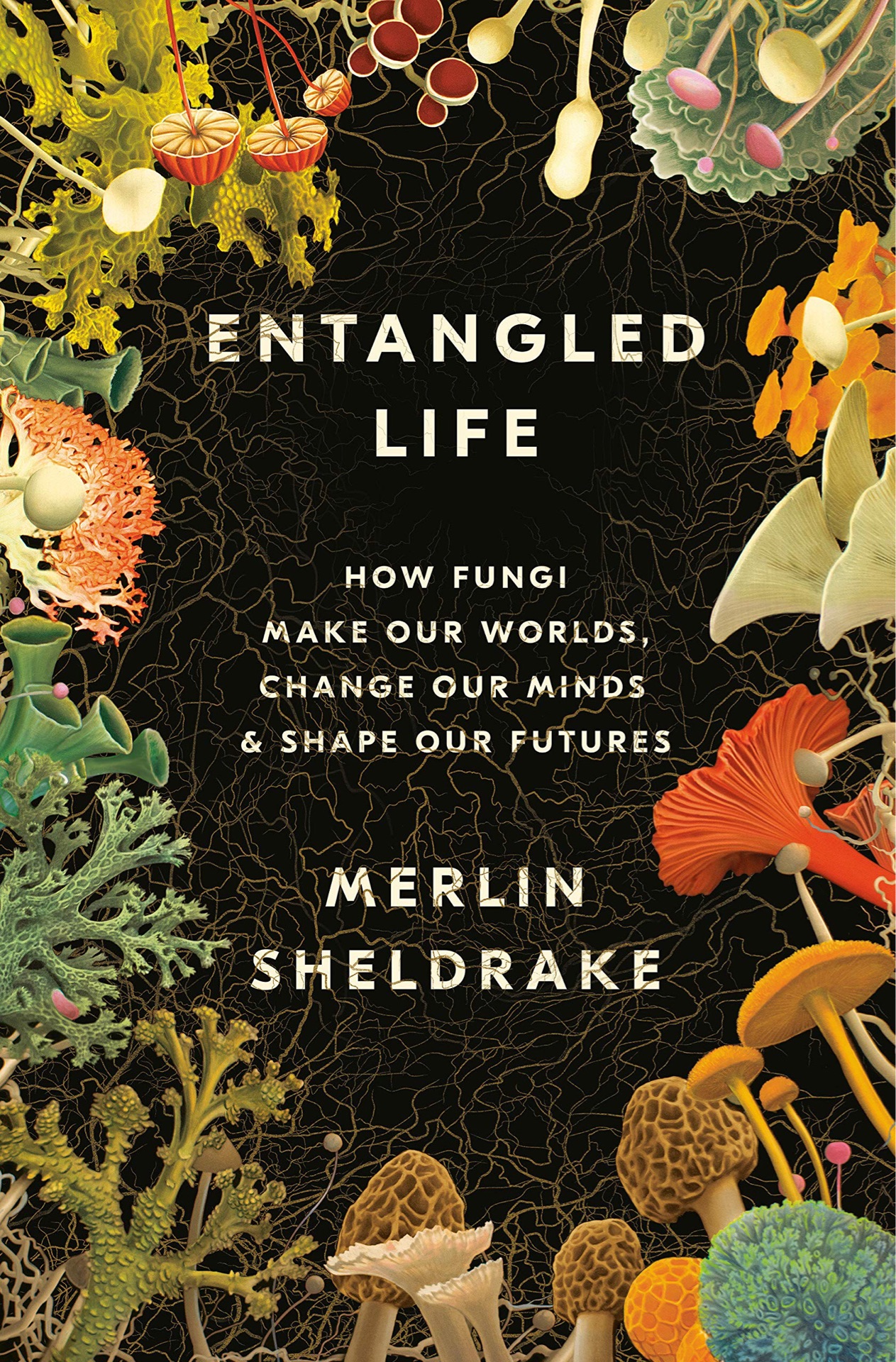 纠缠的生命 Entangled Life: How Fungi Make O