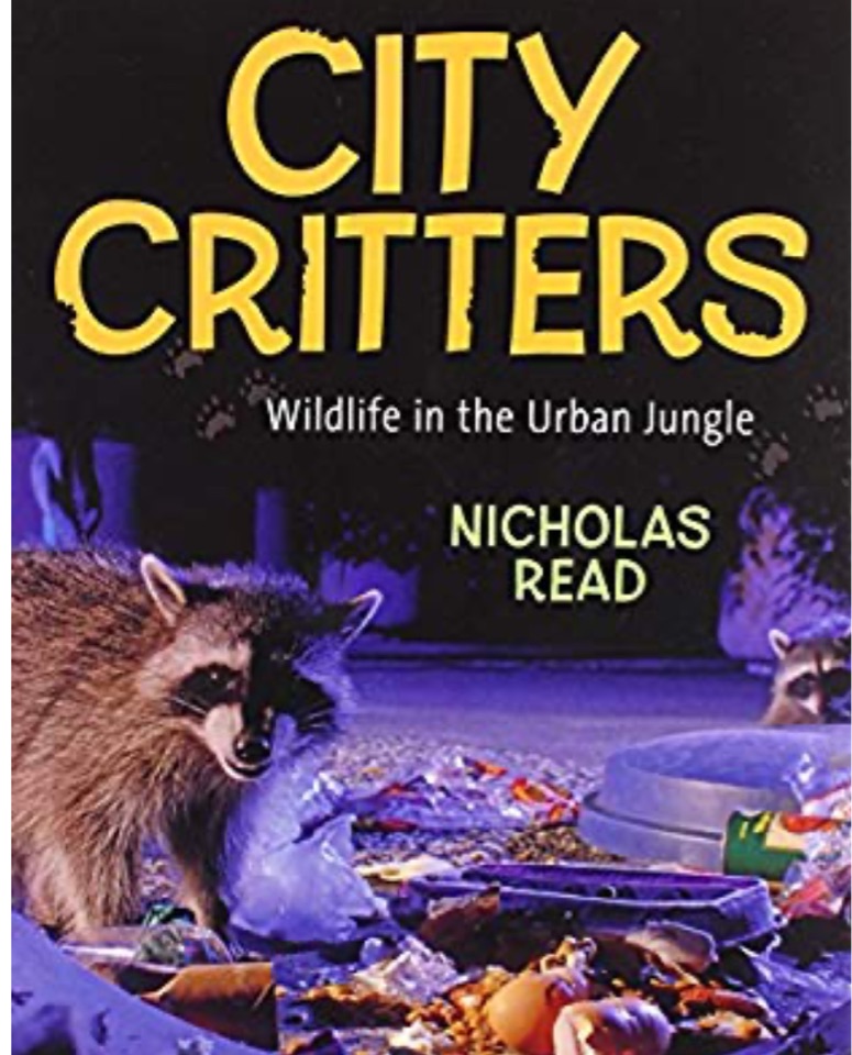 City Critters: Wildlife in the Urban J