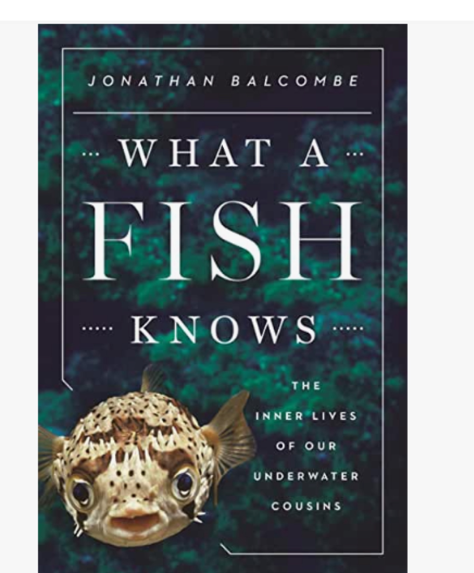 What a Fish Knows: The Inner Lives of 
