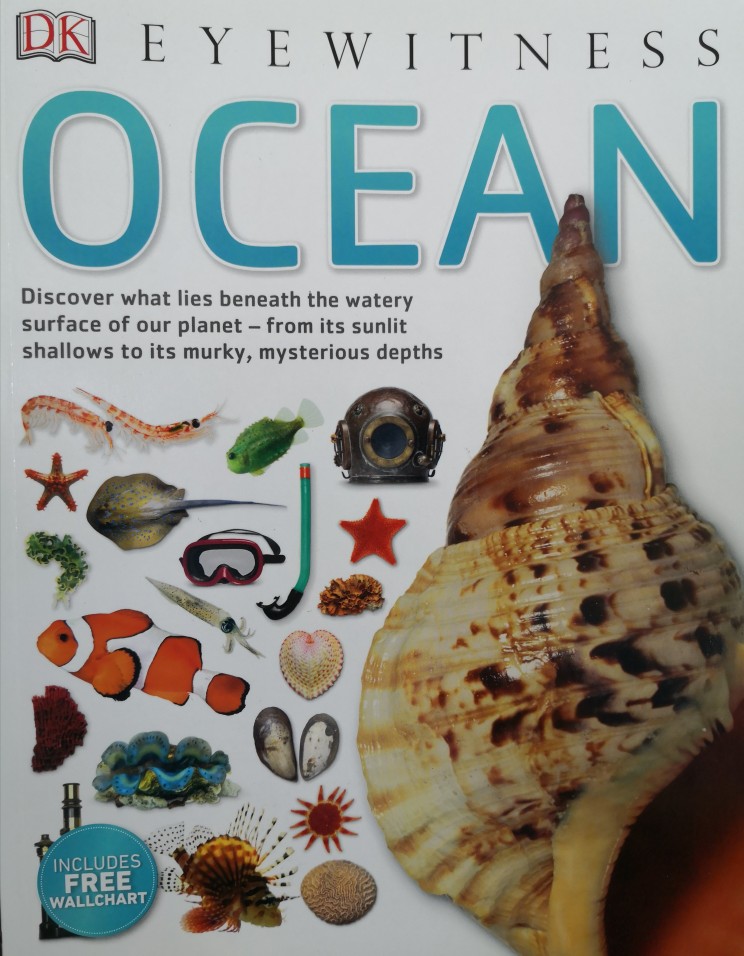 Eyewitness Ocean