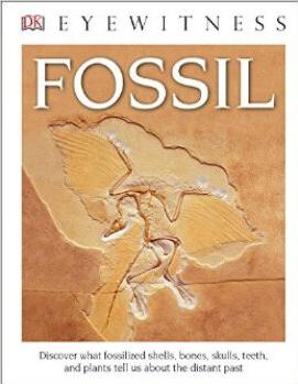 DK Eyewitness Books: Fossil (Library E
