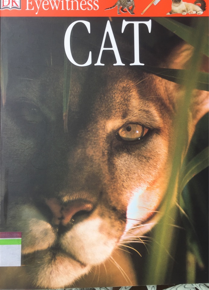 Eyewitness Cat