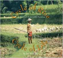 Cycle of Rice, Cycle of Life: A Story 