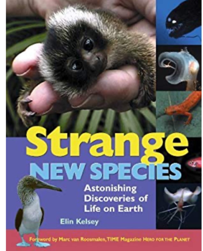 Strange New Species: Astonishing Disco
