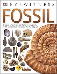 Fossil (Eyewitness)
