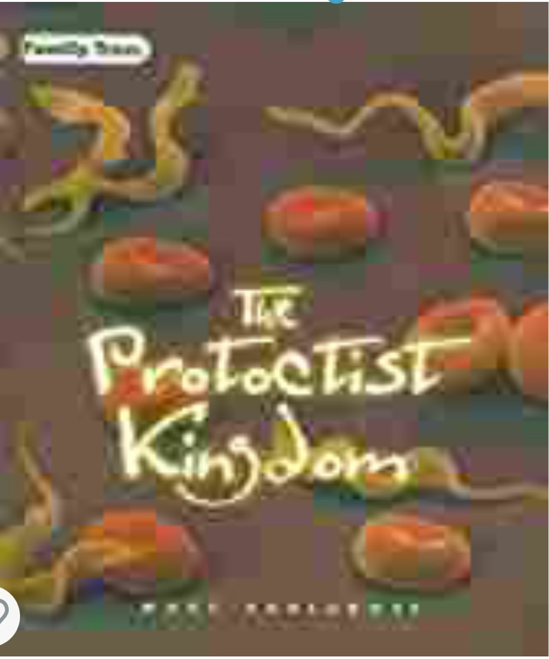 The Protoctist Kingdom
