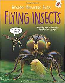 Flying Insects - Record-Breaking Bugs