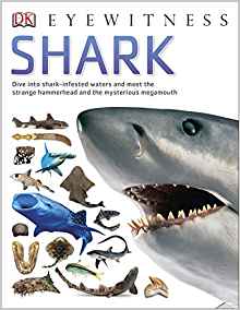 Shark (Eyewitness)