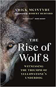 The Rise of Wolf 8: Witnessing the Tri