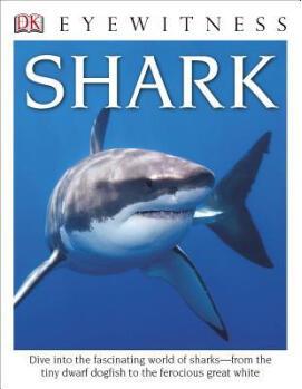 DK Eyewitness Books: Shark [8-12sui]