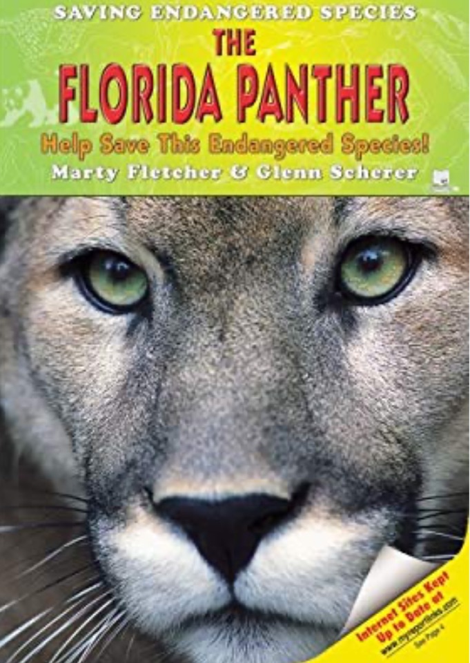 The Florida Panther: Help Save This En