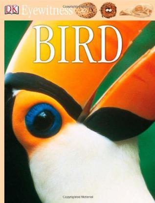 Eyewitness Bird