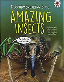 Amazing Insects - Record-Breaking Bugs