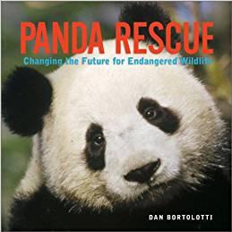 Panda Rescue