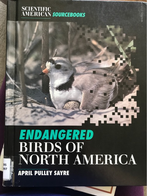 Endangered birds of North America