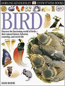 Eyewitness: Bird