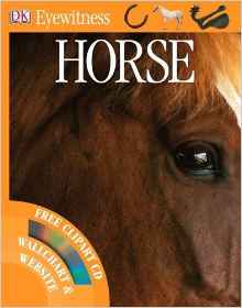 Horse (Eyewitness)