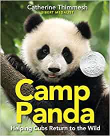 Camp Panda: Helping Cubs Return to the