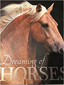 Dreaming of Horses