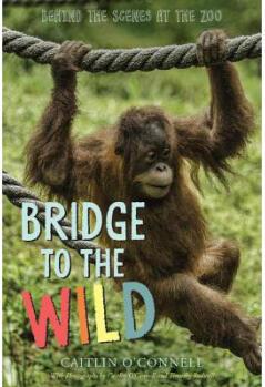 Bridge to the Wild: Behind the Scenes 