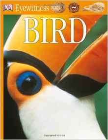 Bird (Eyewitness)